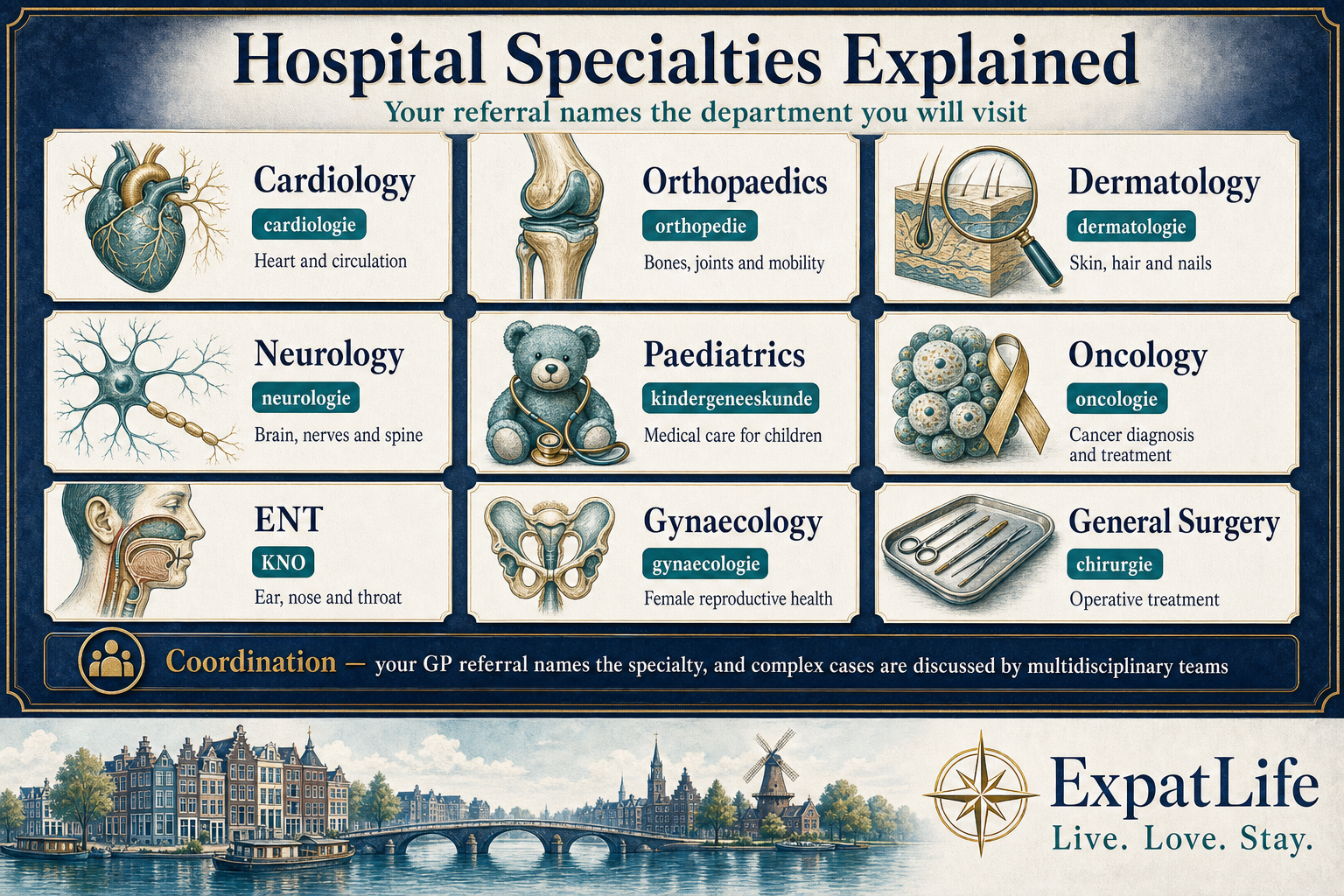 Premium specialist directory board showing Dutch hospital specialties — cardiology, orthopaedics, dermatology, neurology, paediatrics, oncology, ENT, gynaecology and general surgery — each as a labelled card with a plain-language description of what the specialty covers, plus a coordination note about referral and multidisciplinary teams.