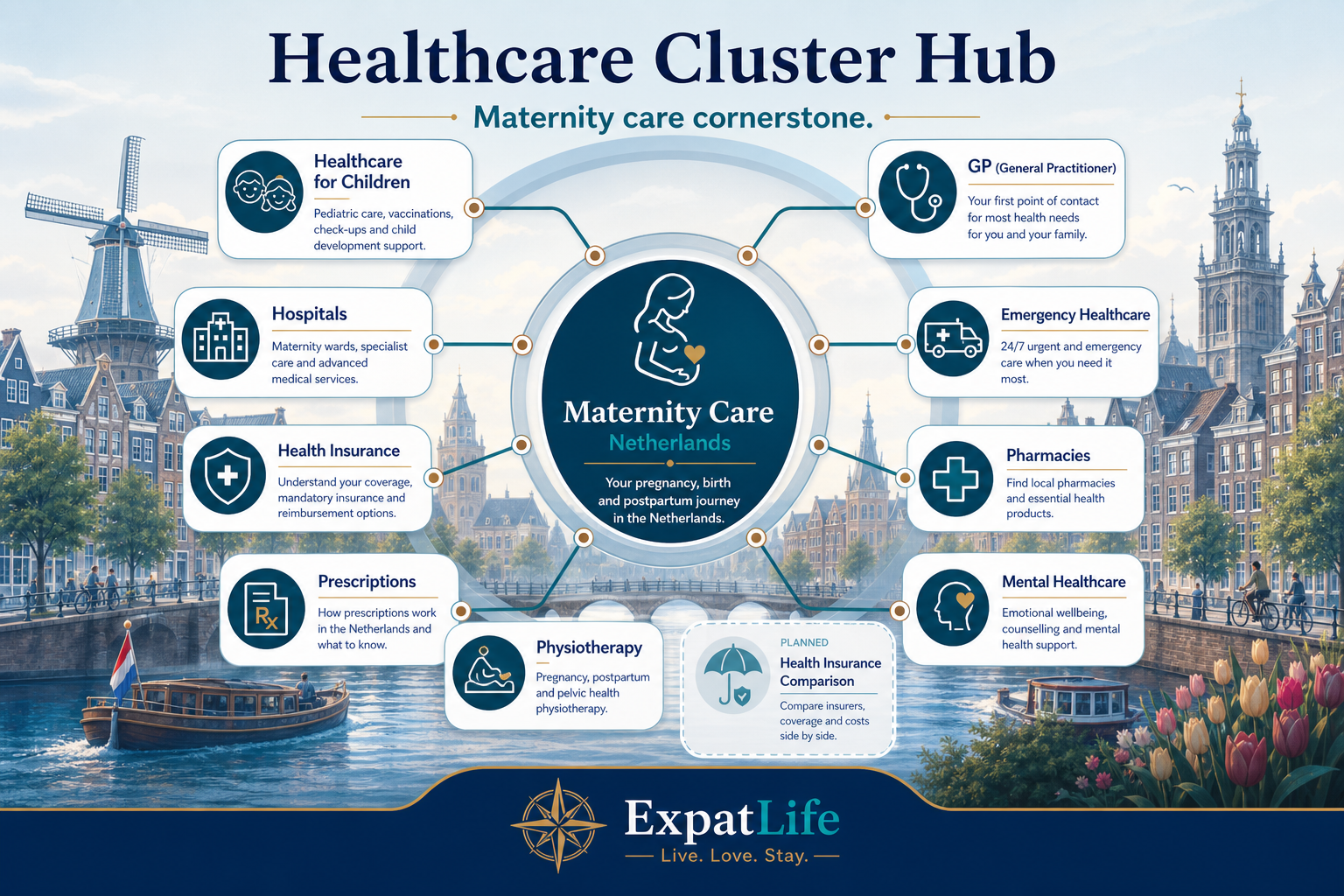 Premium healthcare cluster ecosystem diagram with Maternity care at the centre, connected to GP, hospitals, emergency healthcare, health insurance, children's healthcare, pharmacies, prescriptions, physiotherapy and mental healthcare.