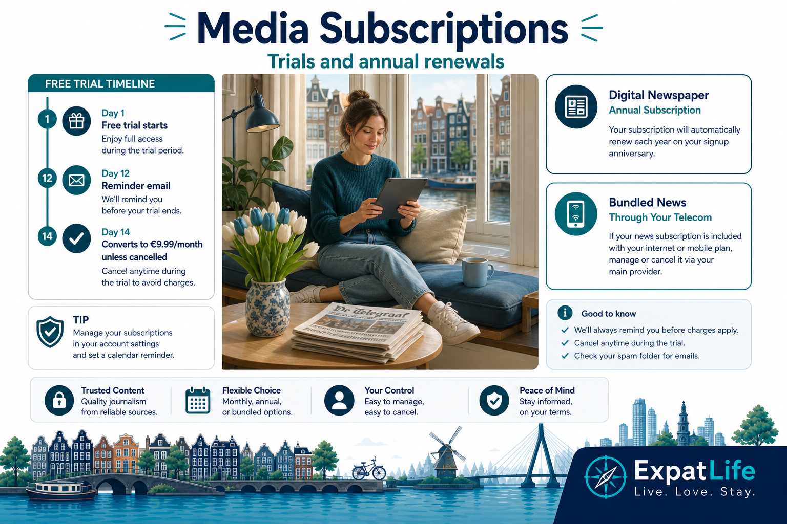 Premium infographic of newspaper and media subscriptions in the Netherlands.